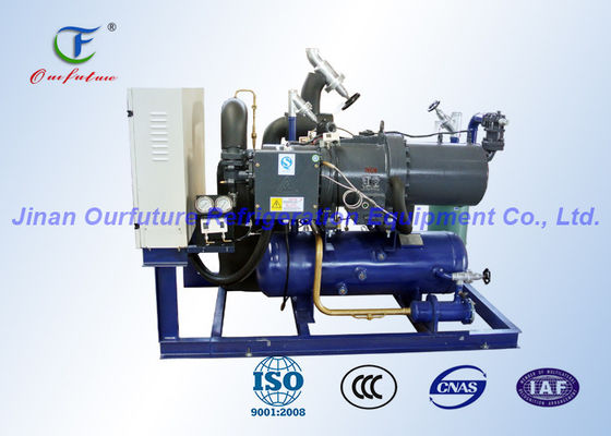 R404a ফুশেং স্ক্রু সংকোচকারী ইউনিট, কুলার কনডেন্সিং ইউনিটে ওয়াক ইন