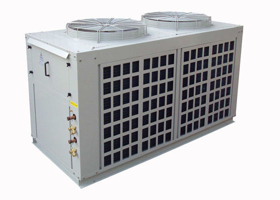 Hermetic স্ক্রোল কম্প্রেসার সঙ্গে R22 মাল্টি Ducted স্প্লিট এয়ার কন্ডিশনার